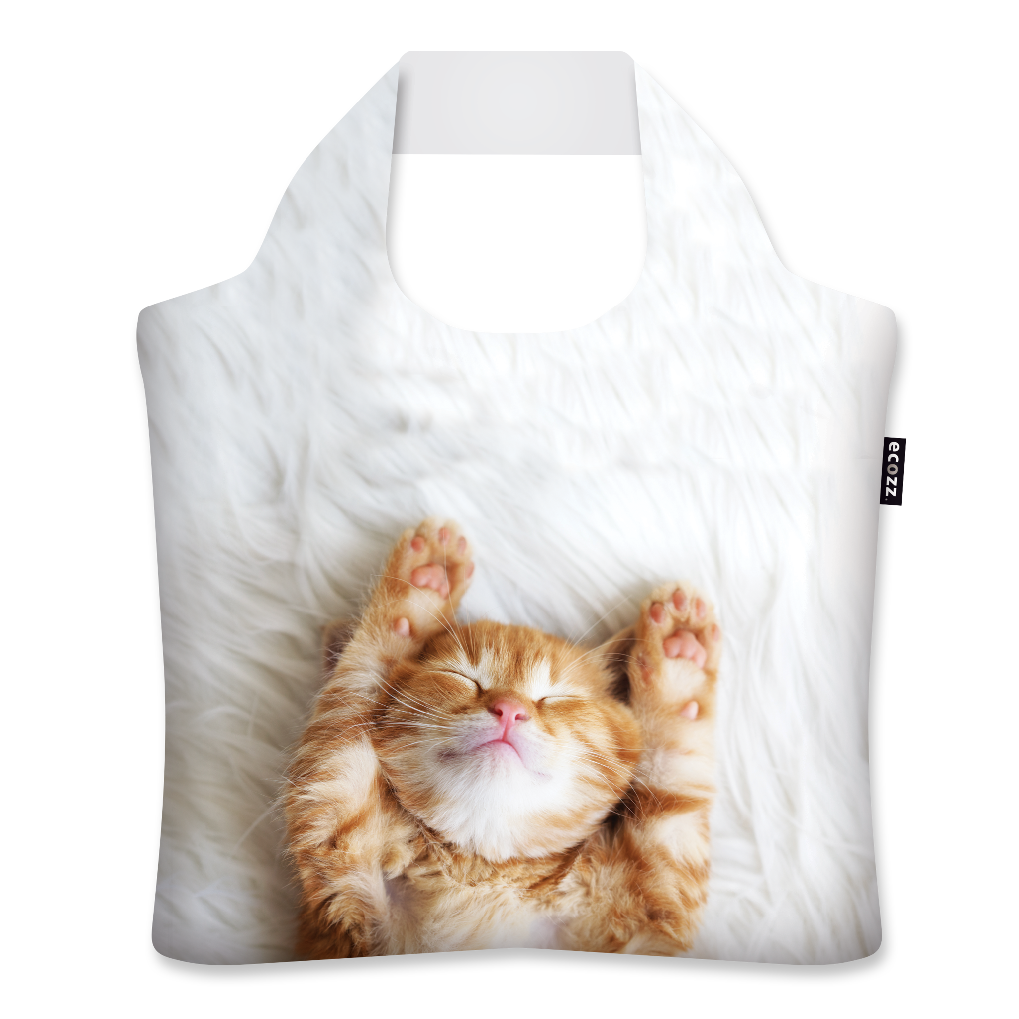 Ecozz tas 2025