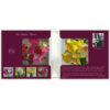 Kaartenmapje Piet Sebens - Bloom - Afbeelding 3