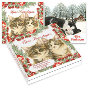 Franciens Katten kerstkaartenmapje / In de sneeuw - Twee kittens met kersttak