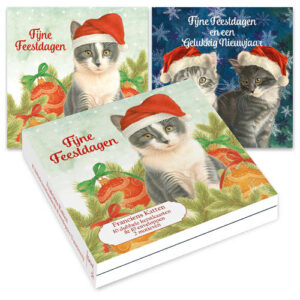 Franciens Katten kerstkaartenmapje / Kat met kerstmuts - Twee kittens IJskristallen