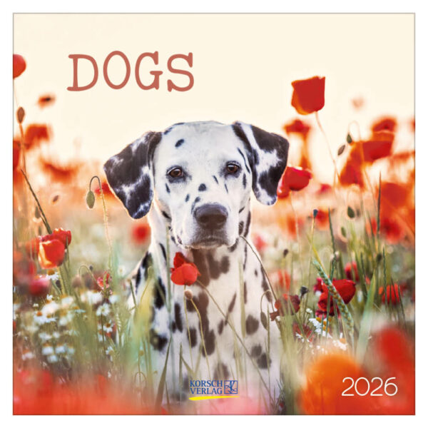 Dogs kalender  2026