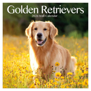 Golden Retrievers kalender 2026