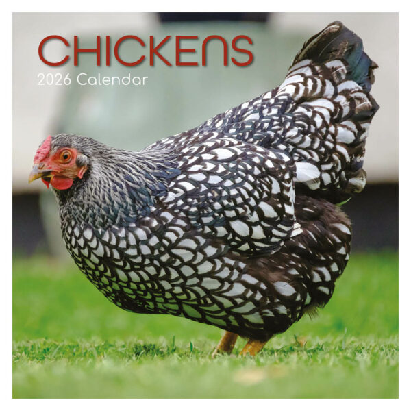 Chickens kalender 2026