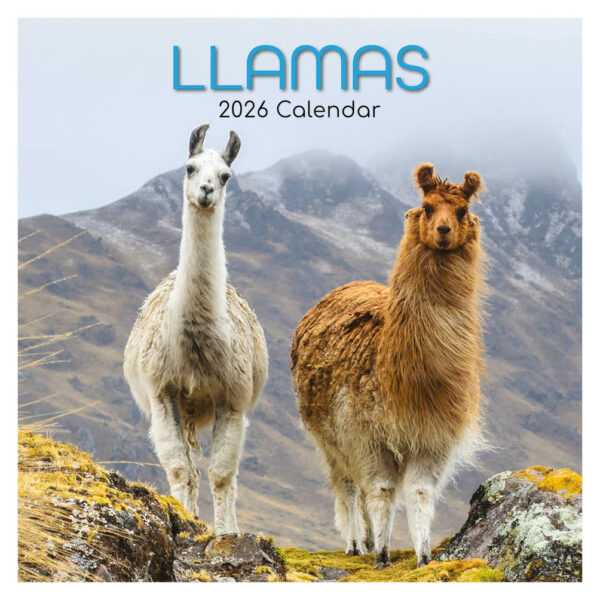 Llamas kalender 2026