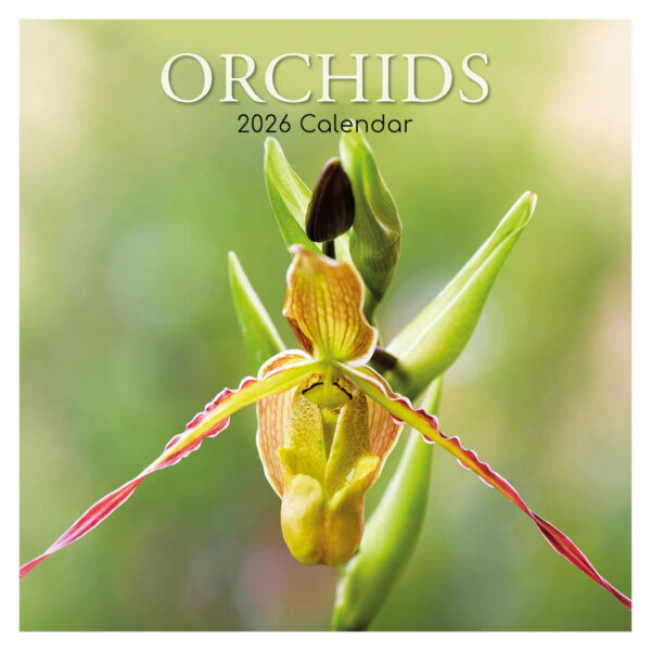 Orchids kalender 2026