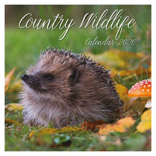 Country Wildlife kalender 2026