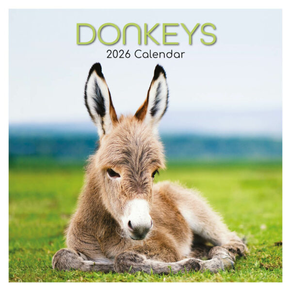 Donkeys kalender 2026