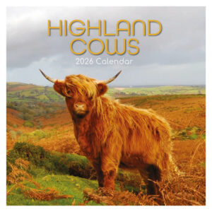 Highland Cows kalender 2026