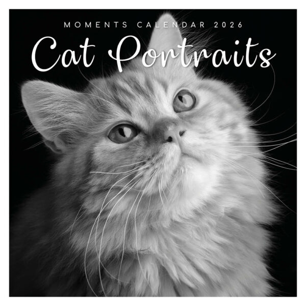 Cat portraits kalender 2026