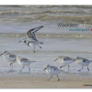 Wadden Werelderfgoed weekagenda 2026