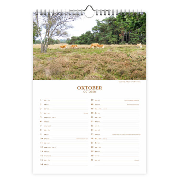 Nederland maandkalender (molen) 2026 - Afbeelding 2