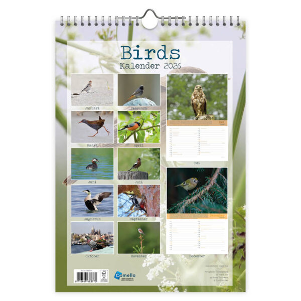 Birds 2026 - Afbeelding 3