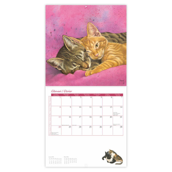 Franciens katten kalender (261047) 2026 - Afbeelding 2