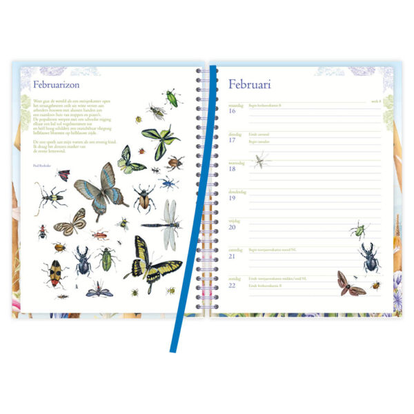 Janneke Brinkman bureau-agenda IJsvogel 2026 - Afbeelding 2