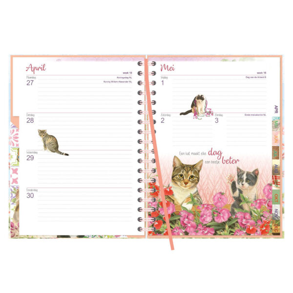 Franciens katten Bureau-agenda Nacho (harde kaft)  2026 - Afbeelding 4