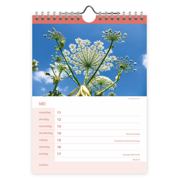Bloemen WEEKnotitiekalender 2026 - Afbeelding 2