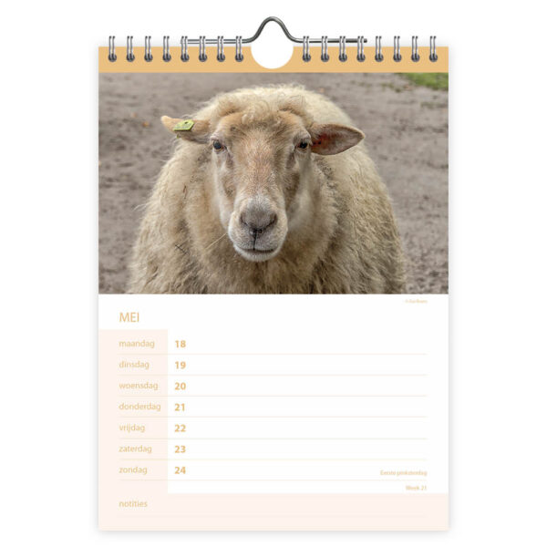 Boerderijdieren WEEKnotitiekalender 2026 - Afbeelding 2