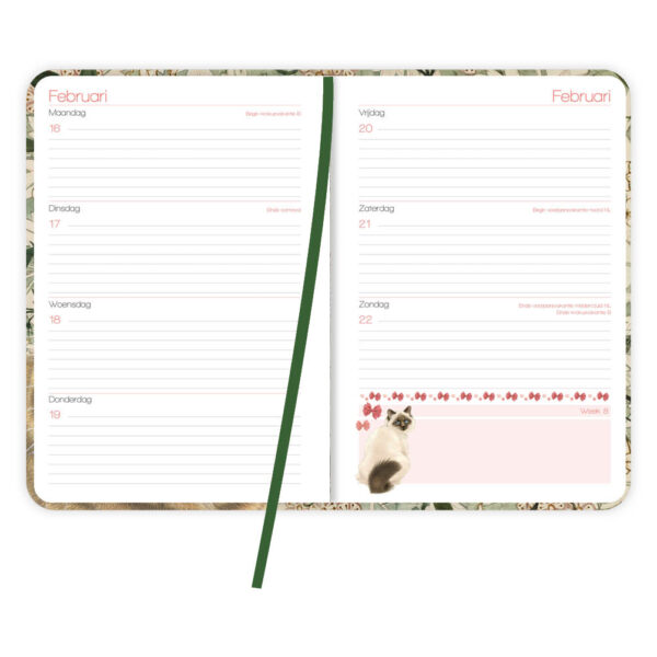 Franciens katten weekagenda Naughty 2026 - Afbeelding 2