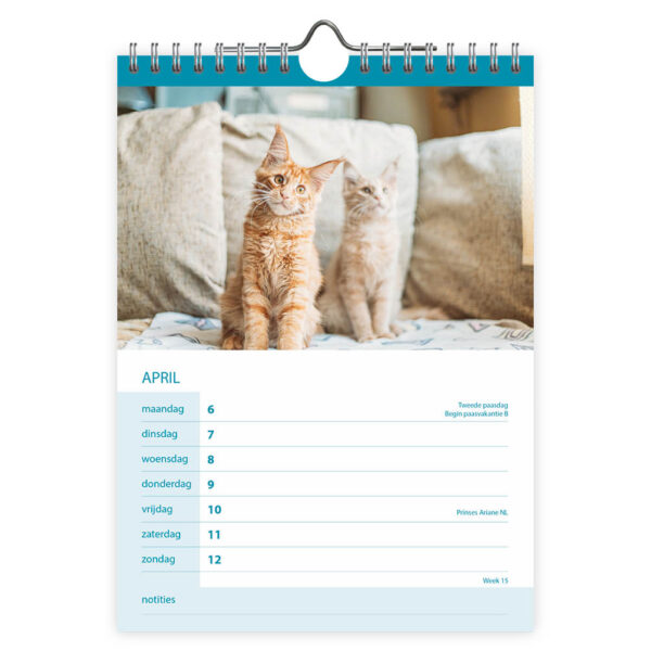 Katten WEEKnotitiekalender 2026 - Afbeelding 2