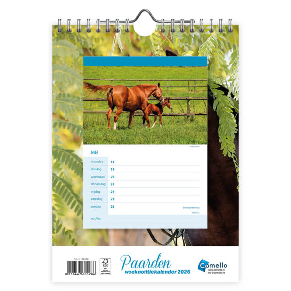 Paarden WEEKnotitiekalender 2026 - Afbeelding 3