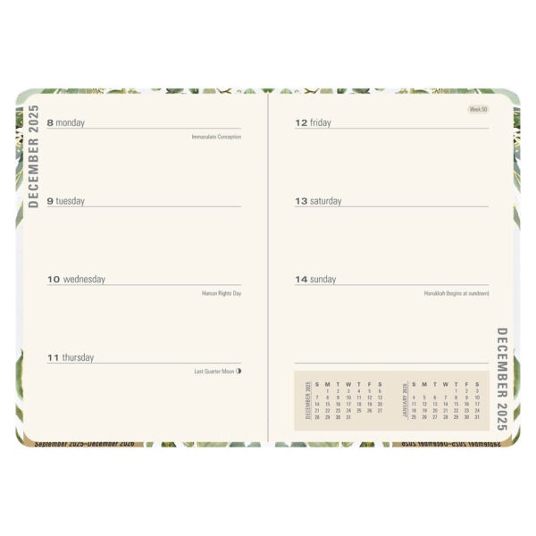 Eucalyptus Compact diary 16-mnds 2026 - Afbeelding 3