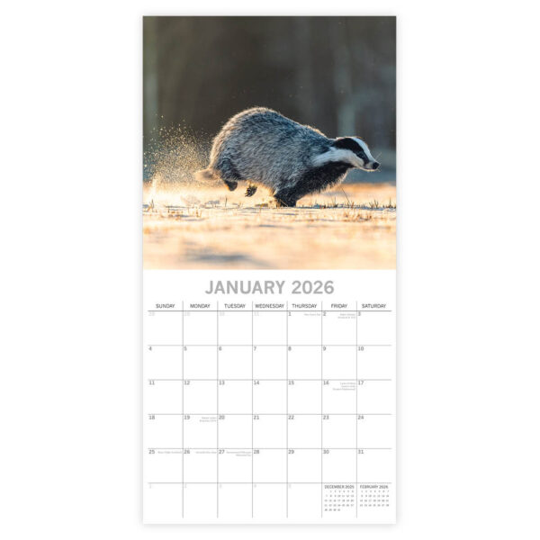 Country Wildlife kalender 2026 - Afbeelding 2