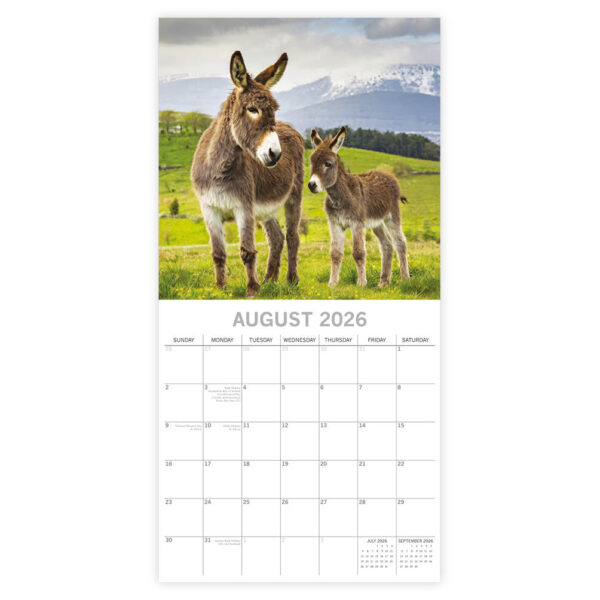 Donkeys kalender 2026 - Afbeelding 3