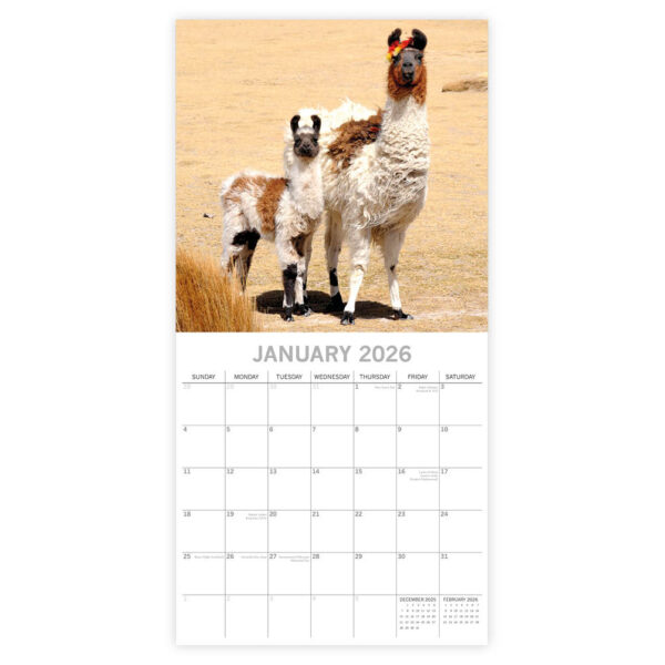 Llamas kalender 2026 - Afbeelding 2