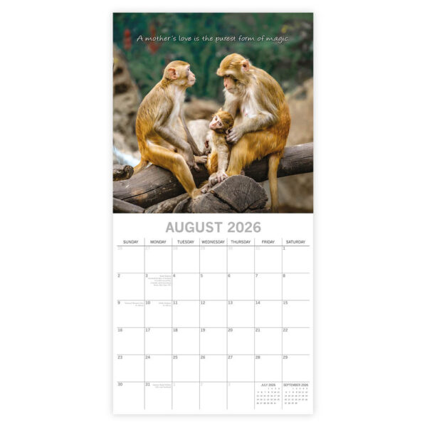 Mother's Love kalender 2026 - Afbeelding 3