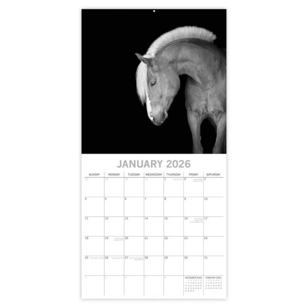 Horses portraits 2026 - Afbeelding 2