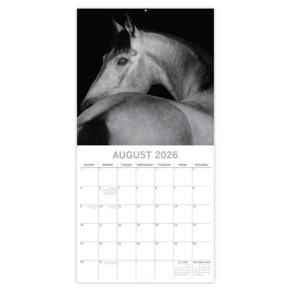 Horses portraits 2026 - Afbeelding 3