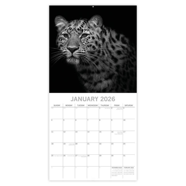 Wild Portraits 2026 - Afbeelding 2