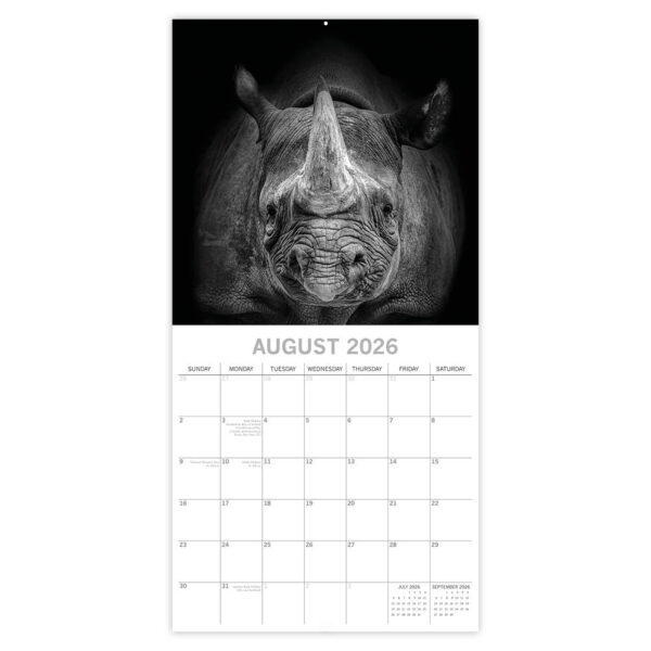 Wild Portraits 2026 - Afbeelding 3
