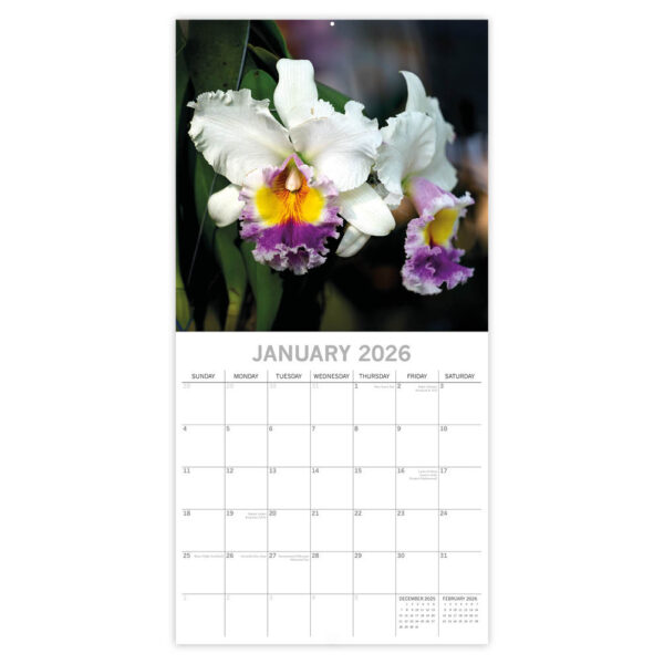 Orchids kalender 2026 - Afbeelding 2