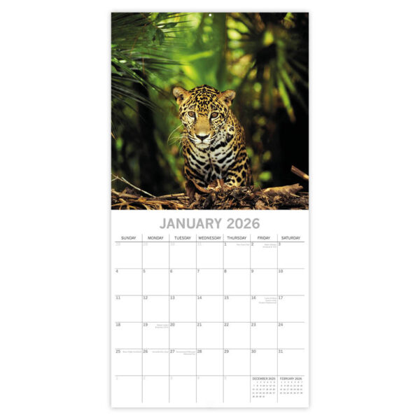 Jungles kalender 2026 - Afbeelding 2