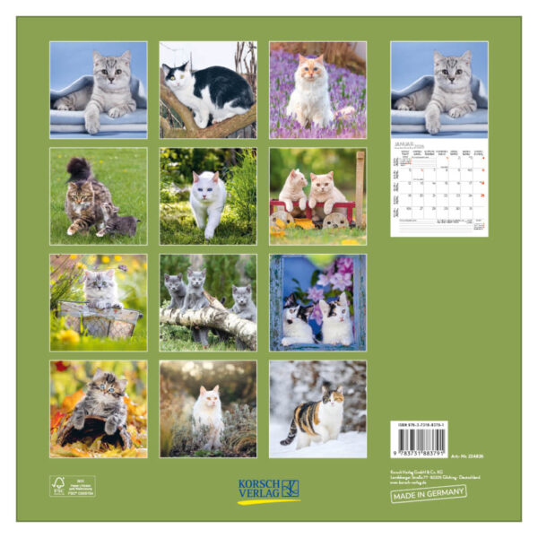 Cats kalender 2026 - Afbeelding 3