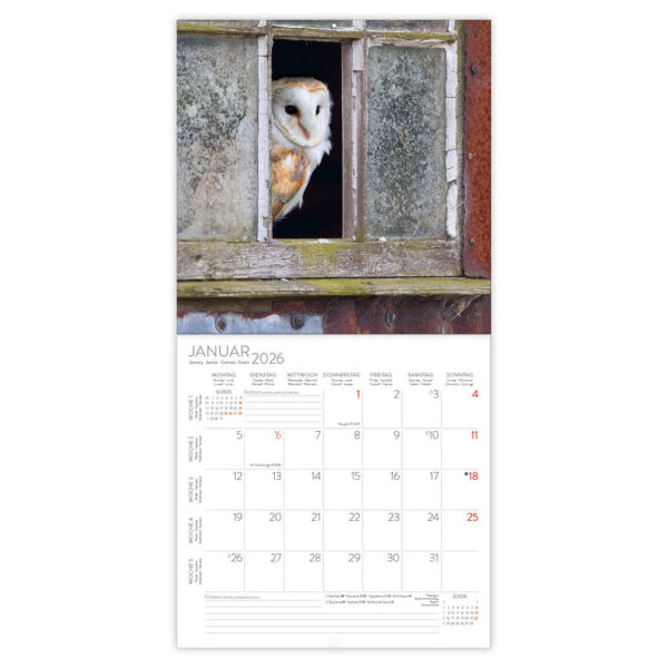 Owls kalender 2026 - Afbeelding 2