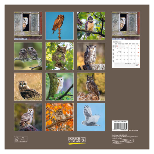 Owls kalender 2026 - Afbeelding 3