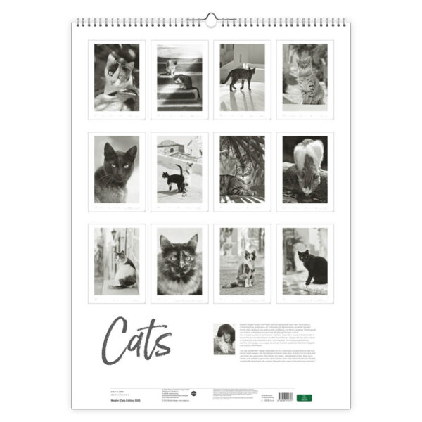 Cats zw/w  kalender 2026 - Afbeelding 3