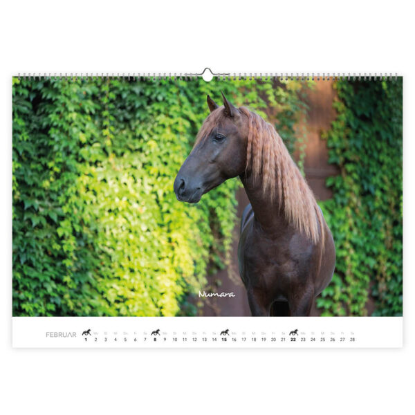 Paarden kalender 2026 - Afbeelding 2