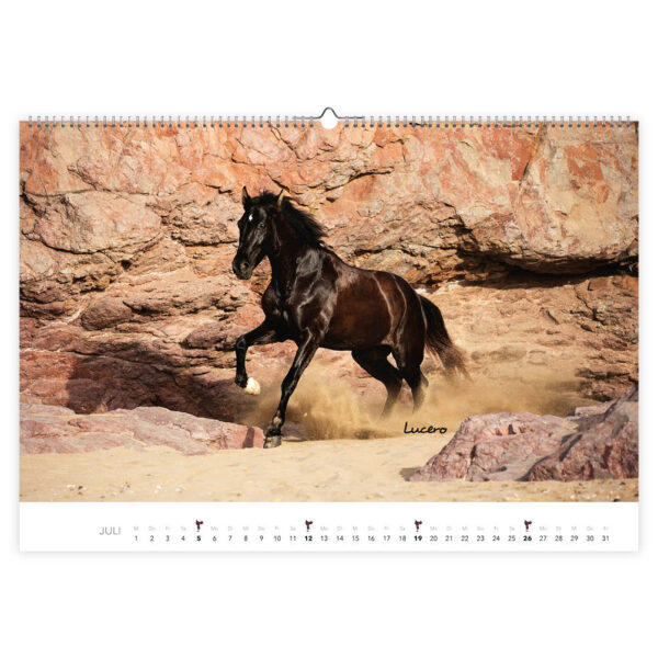 Paarden kalender 2026 - Afbeelding 3