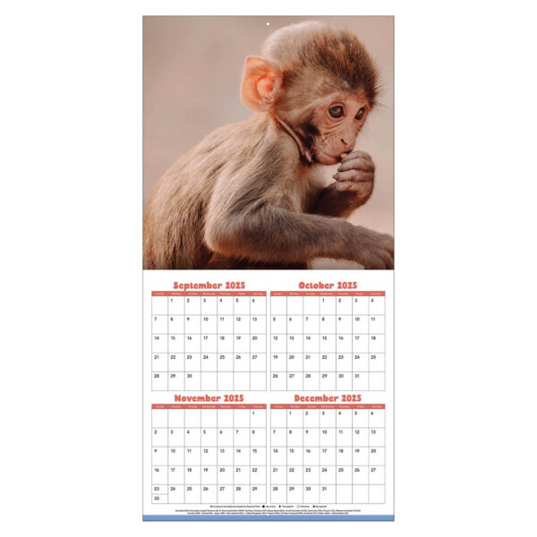 Baby Animals kalender 2026 - Afbeelding 2