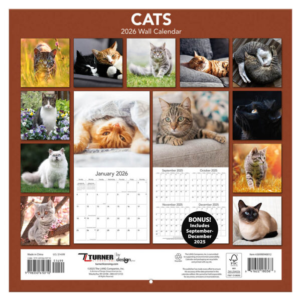 Cats kalender 2026 - Afbeelding 3