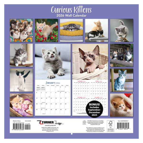 Curious Kittens kalender 2026 - Afbeelding 3