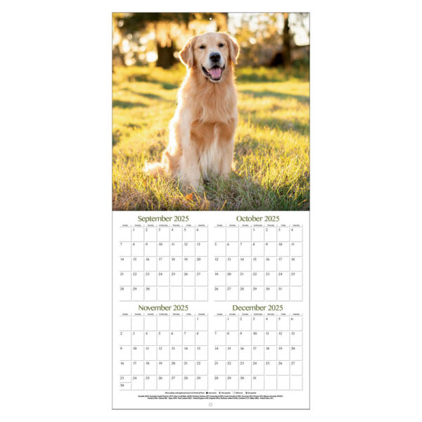 Golden Retrievers kalender 2026 - Afbeelding 2