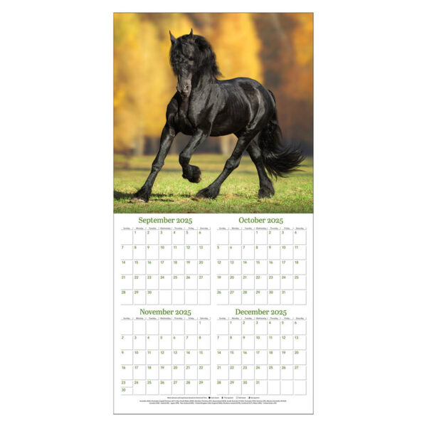 Horses kalender 2026 - Afbeelding 2