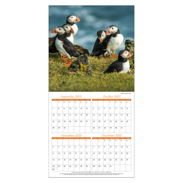 Iceland kalender 2026 - Afbeelding 2