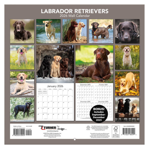 Labrador retrievers kalender 2026 - Afbeelding 3