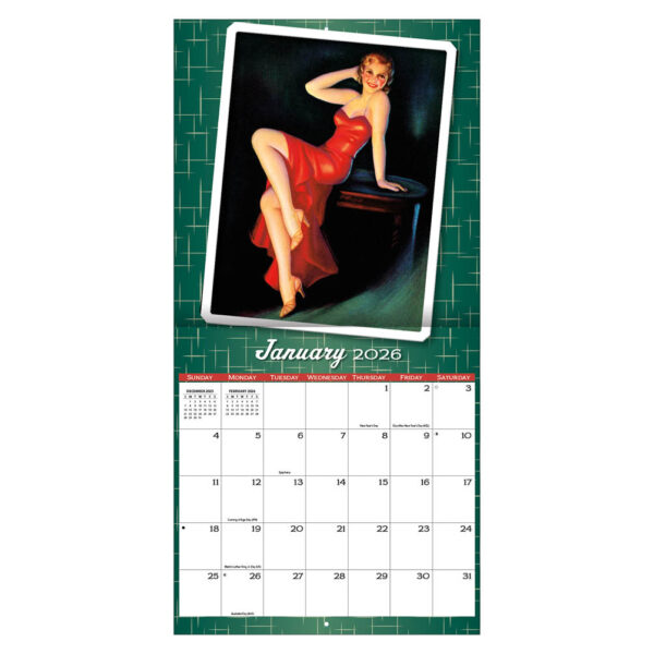 Pin Up  2026 - Afbeelding 3