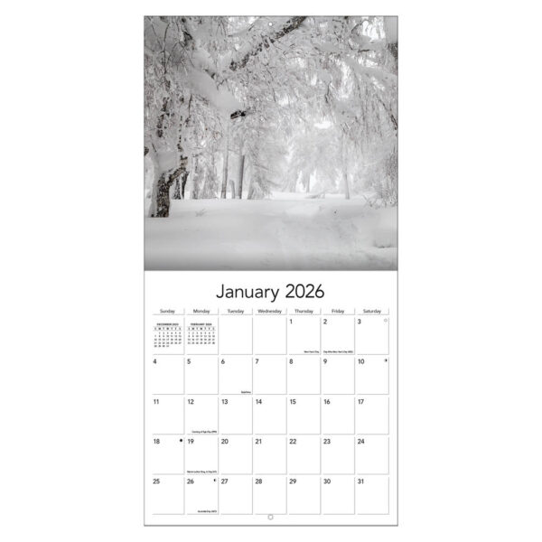 Wild & Wonderful Weather 2026 - Afbeelding 3